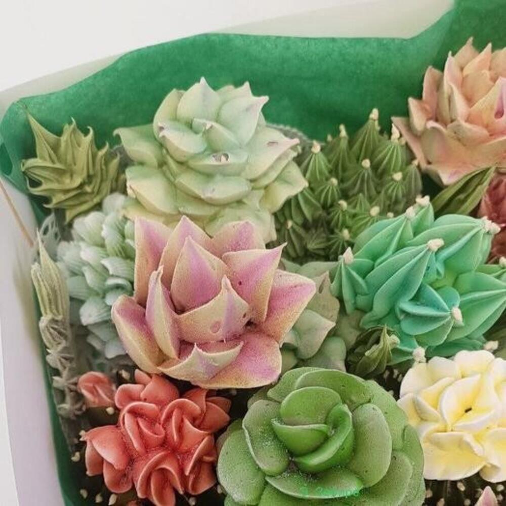 Суккуленты из зефира