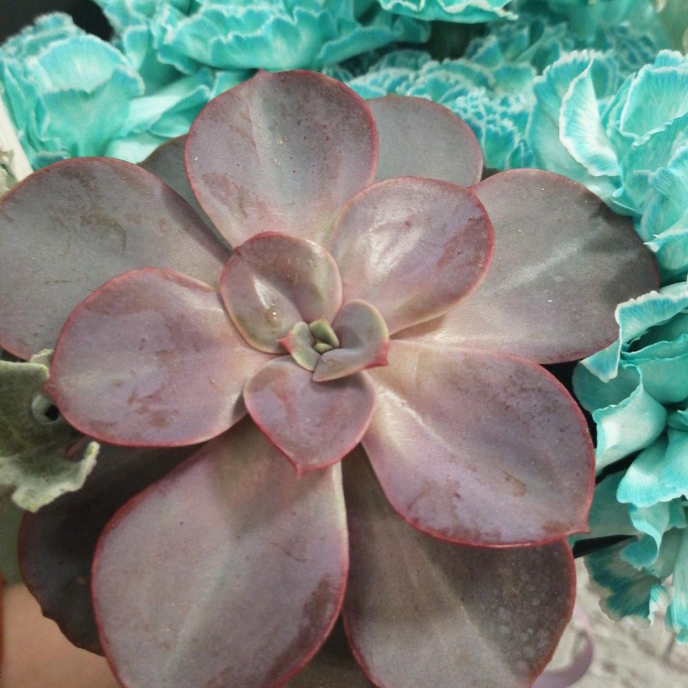 Необыкновенный букет для чудесного человека