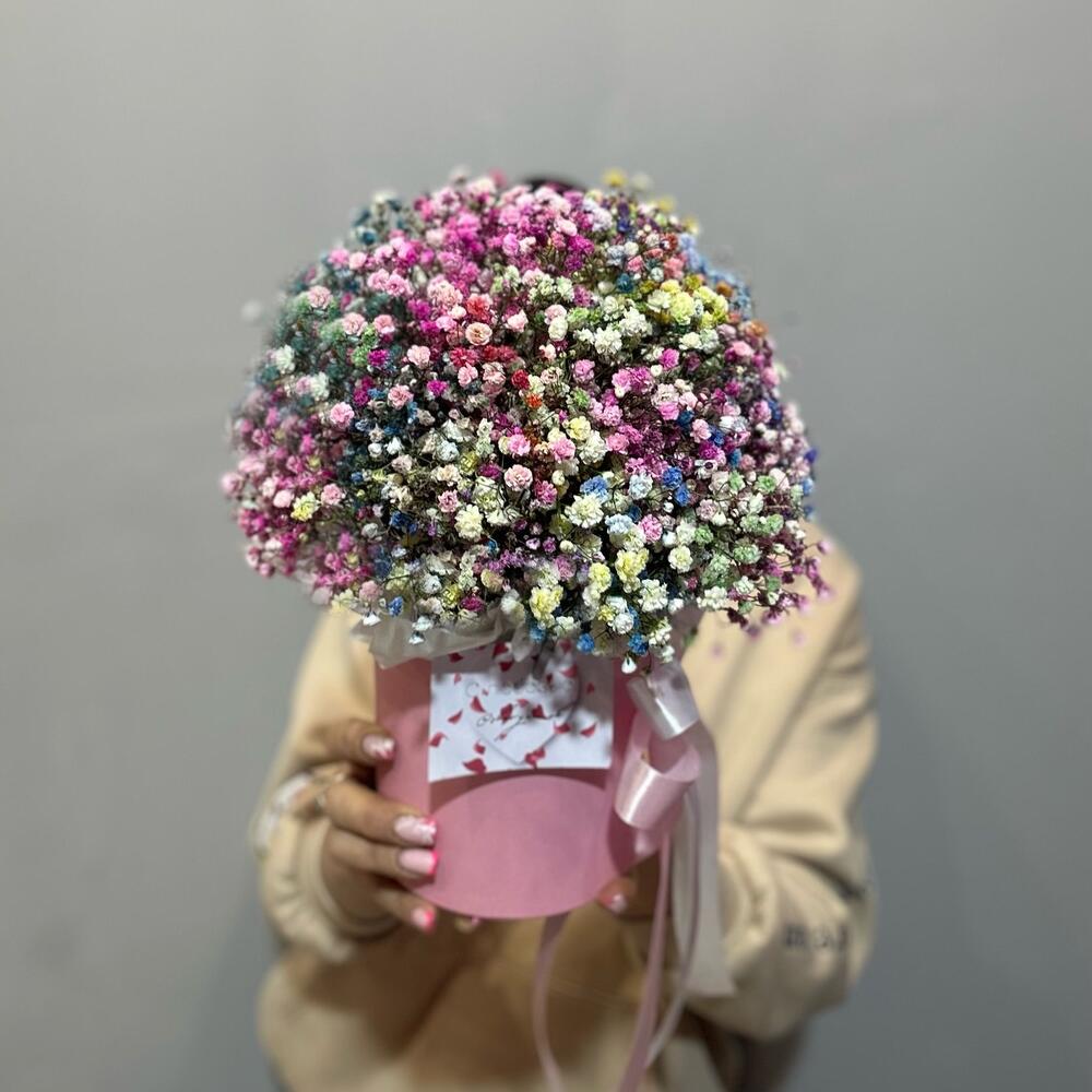 Gypsophila en Caja