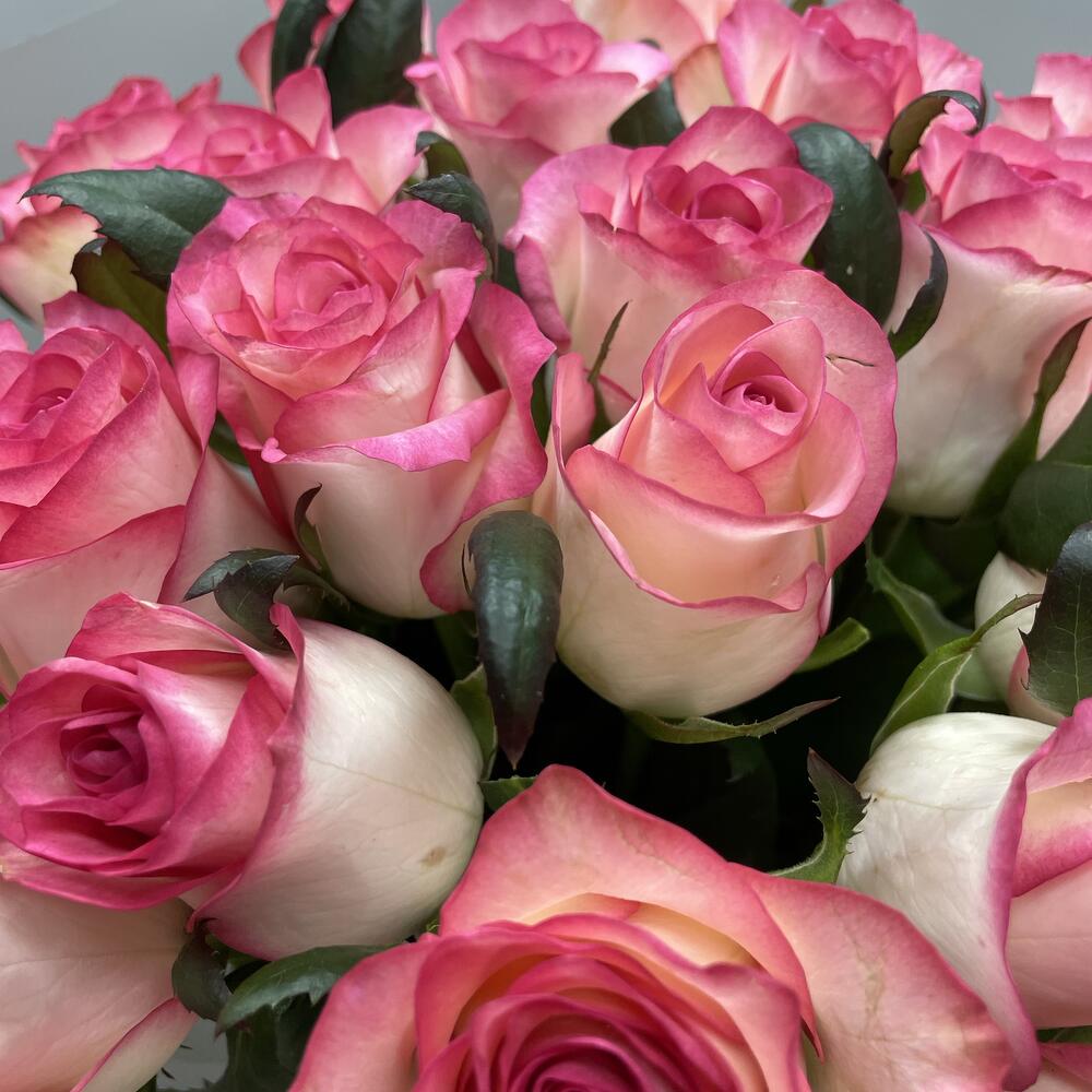 «Кисс на рассвете»🌹 Моно букет 25шт