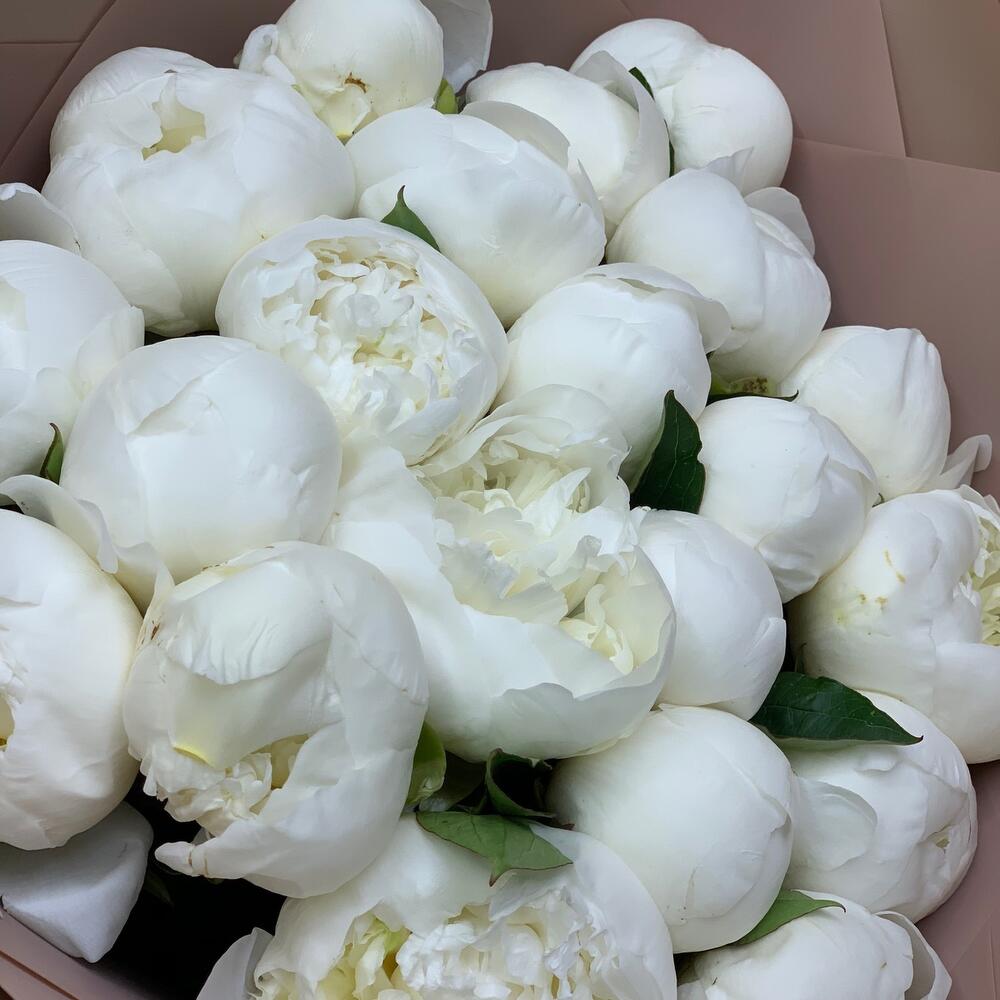 Snowball