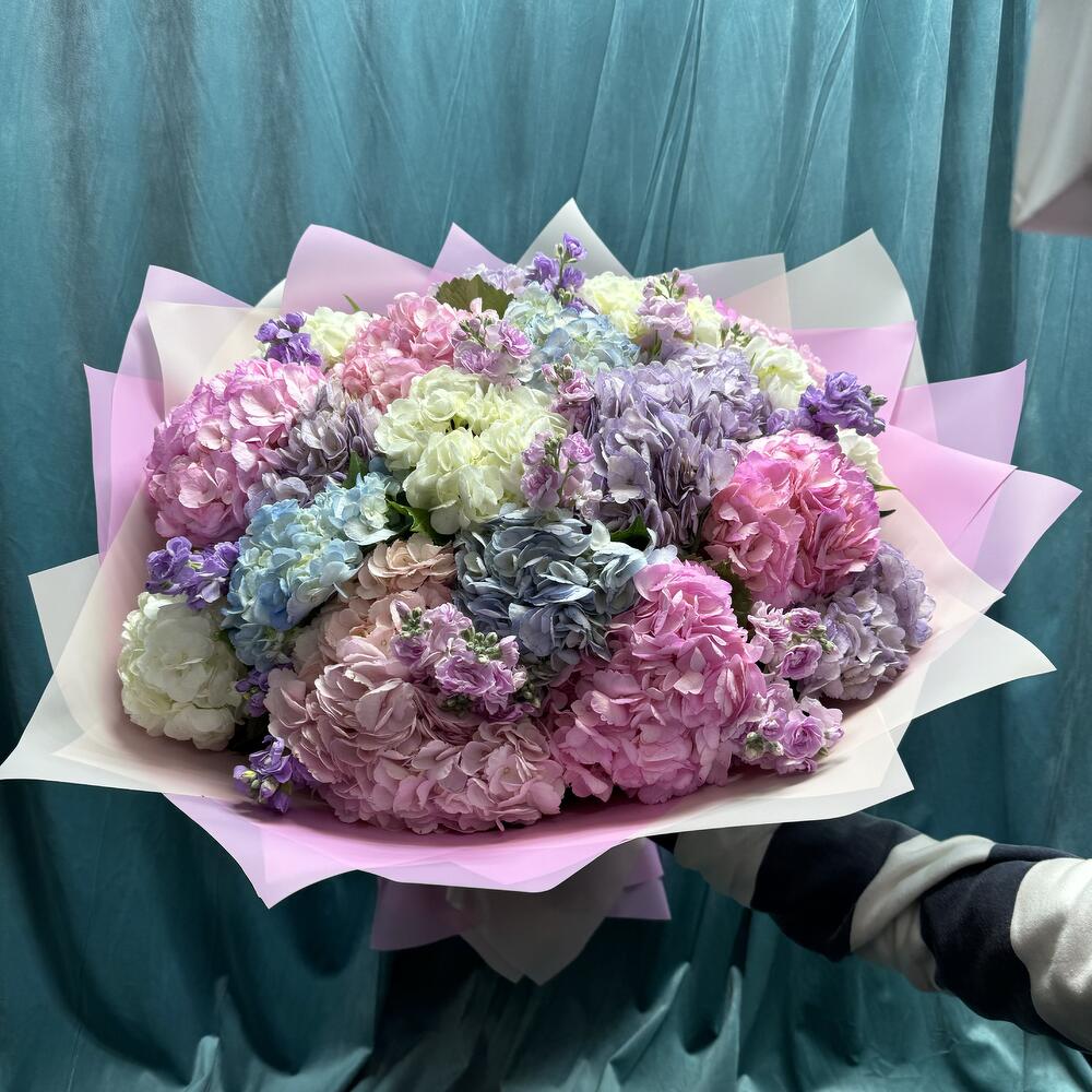 Гортензия микс 🩷🤍💜