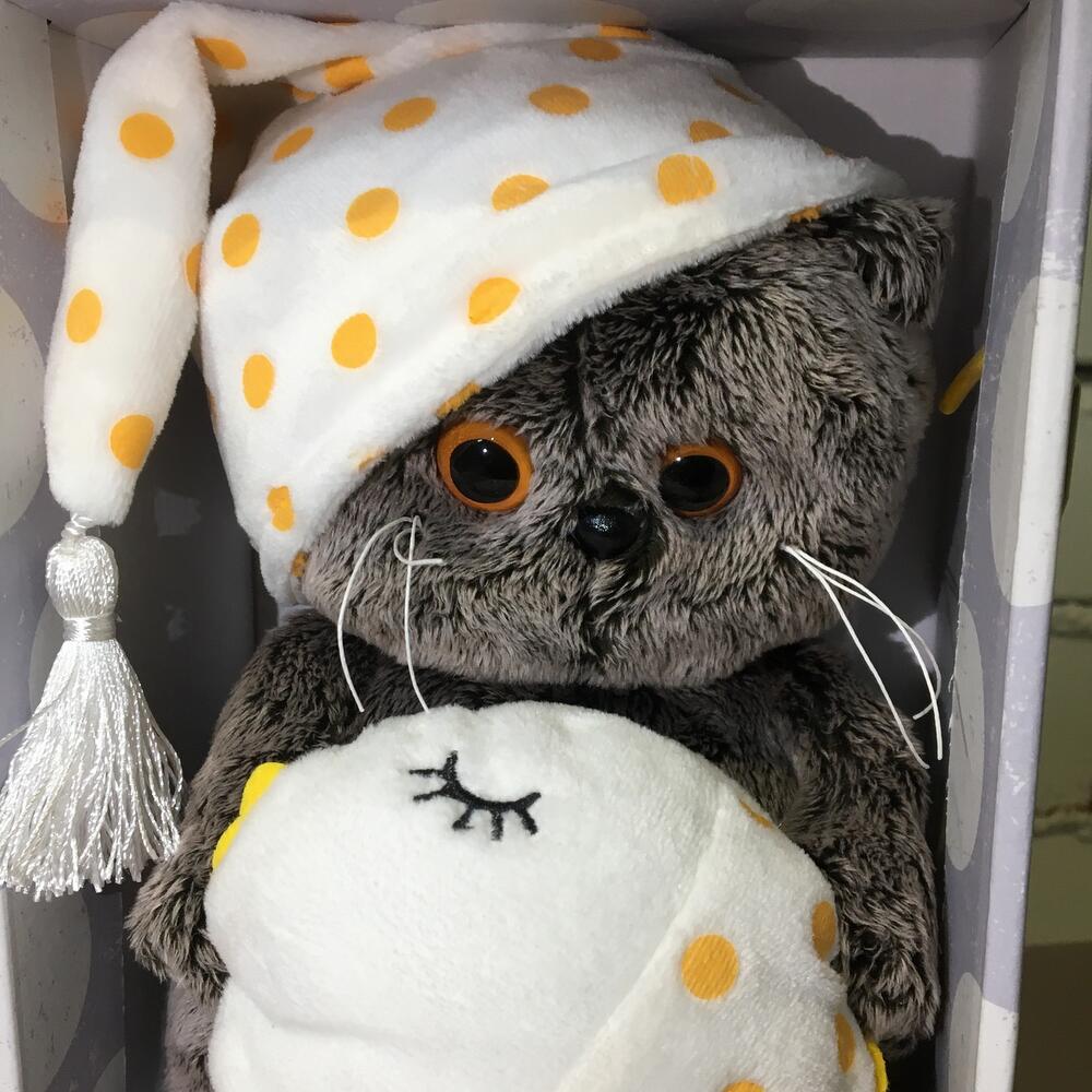Кот Басик Бэби
