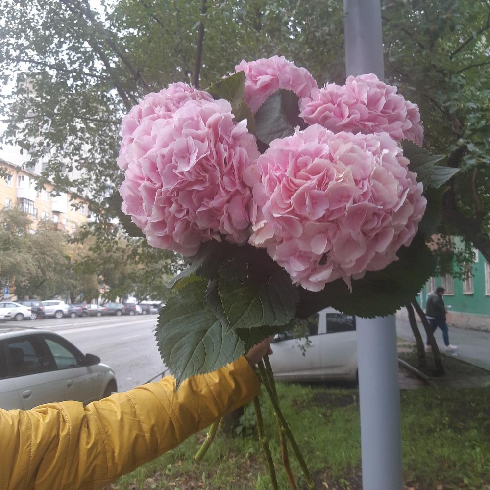Шикарный розовый