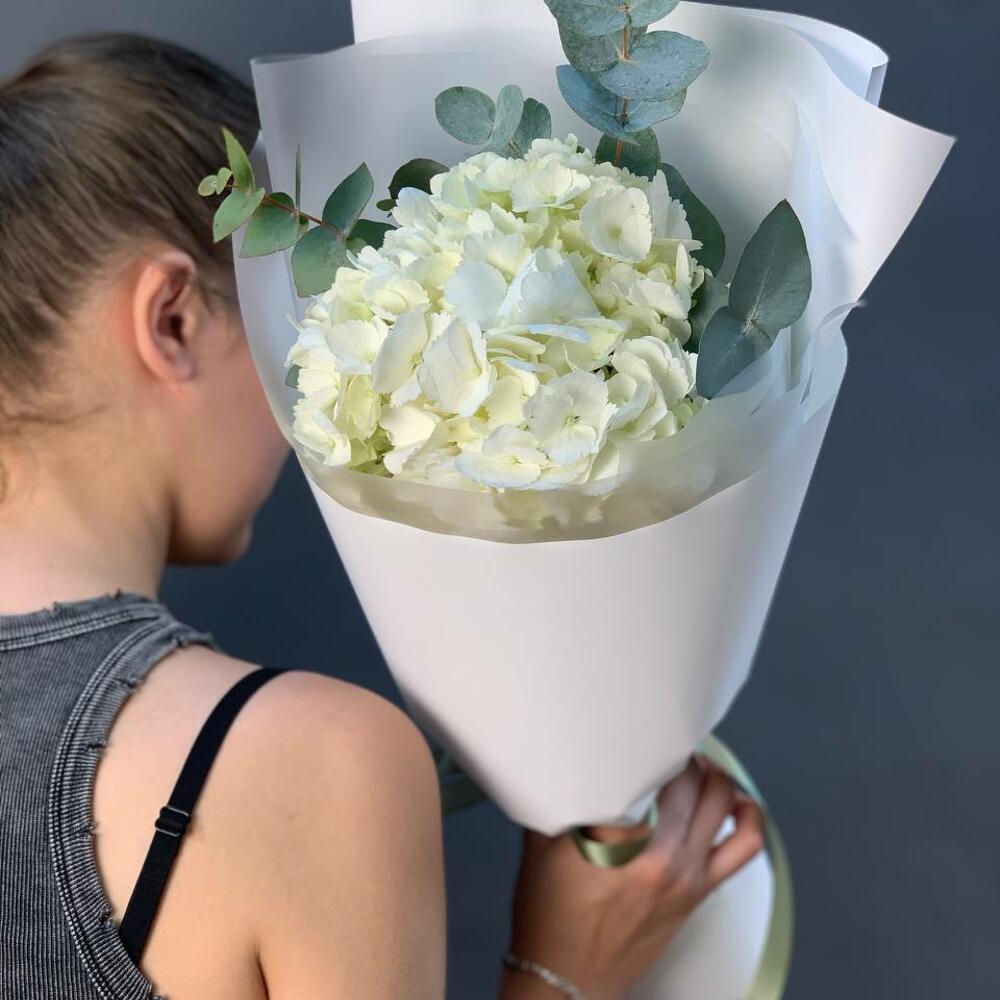 Hydrangea