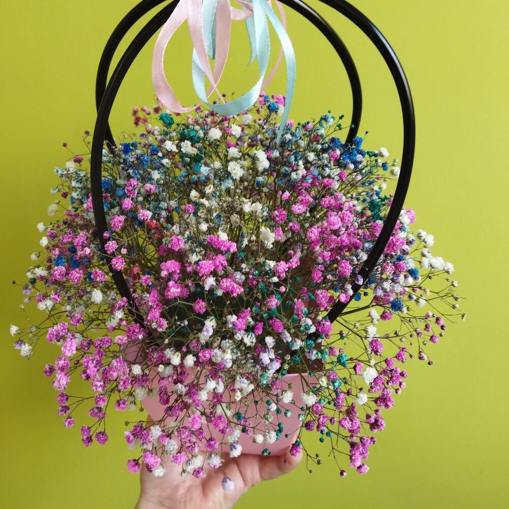 Gypsophila in a box