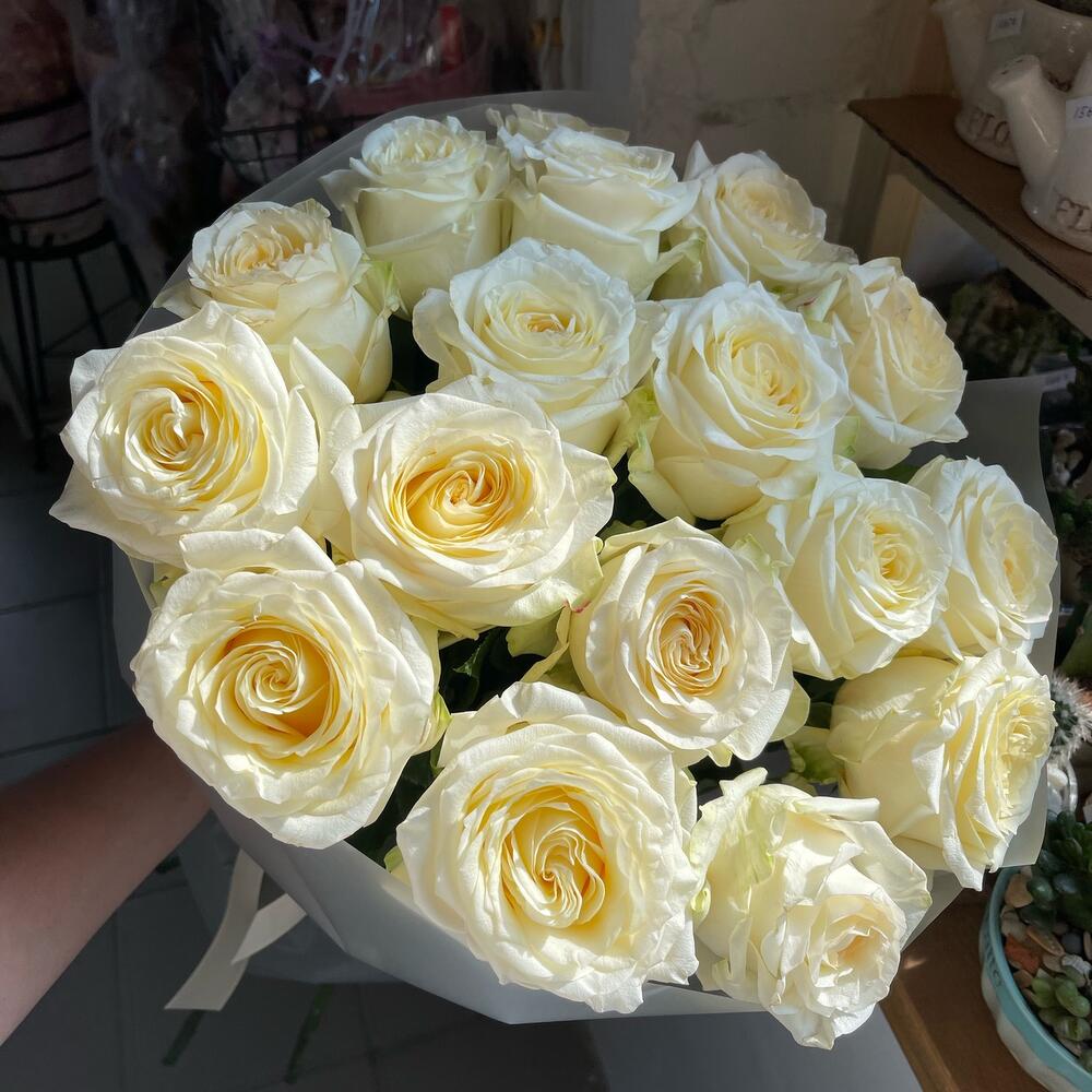 17 пионовидных роз💐