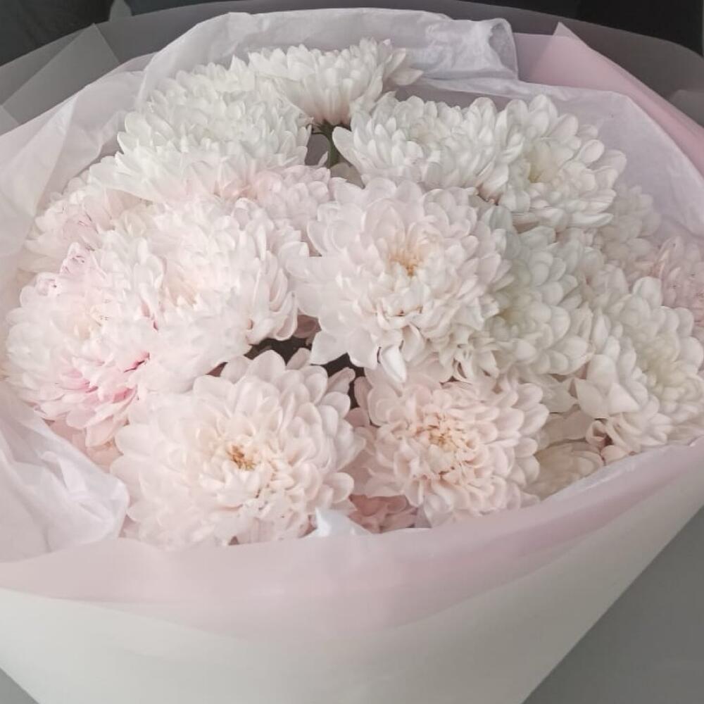 Букет из бело-розовых кустовых хризантем