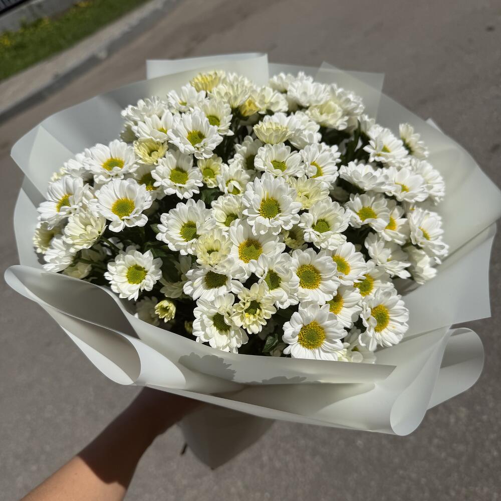Букет кремовые сантини хризантема