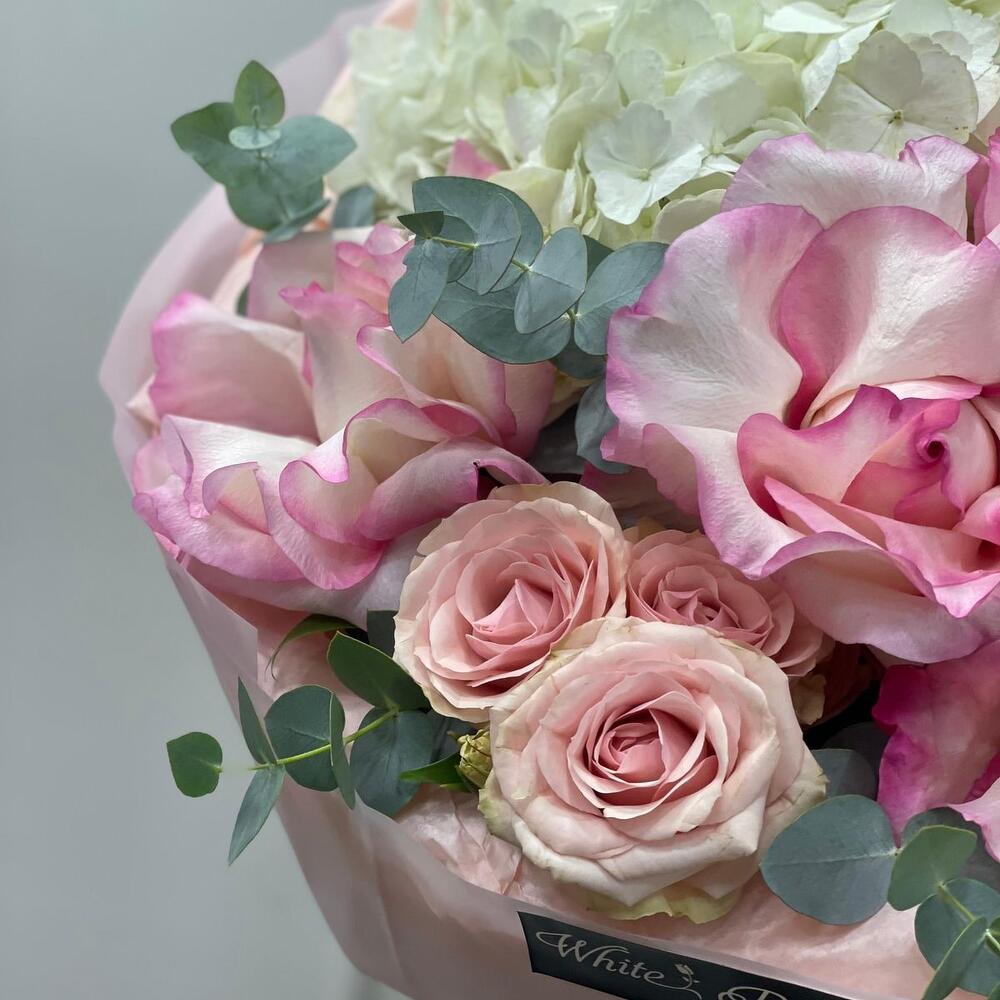 💗 Blush   Bloom