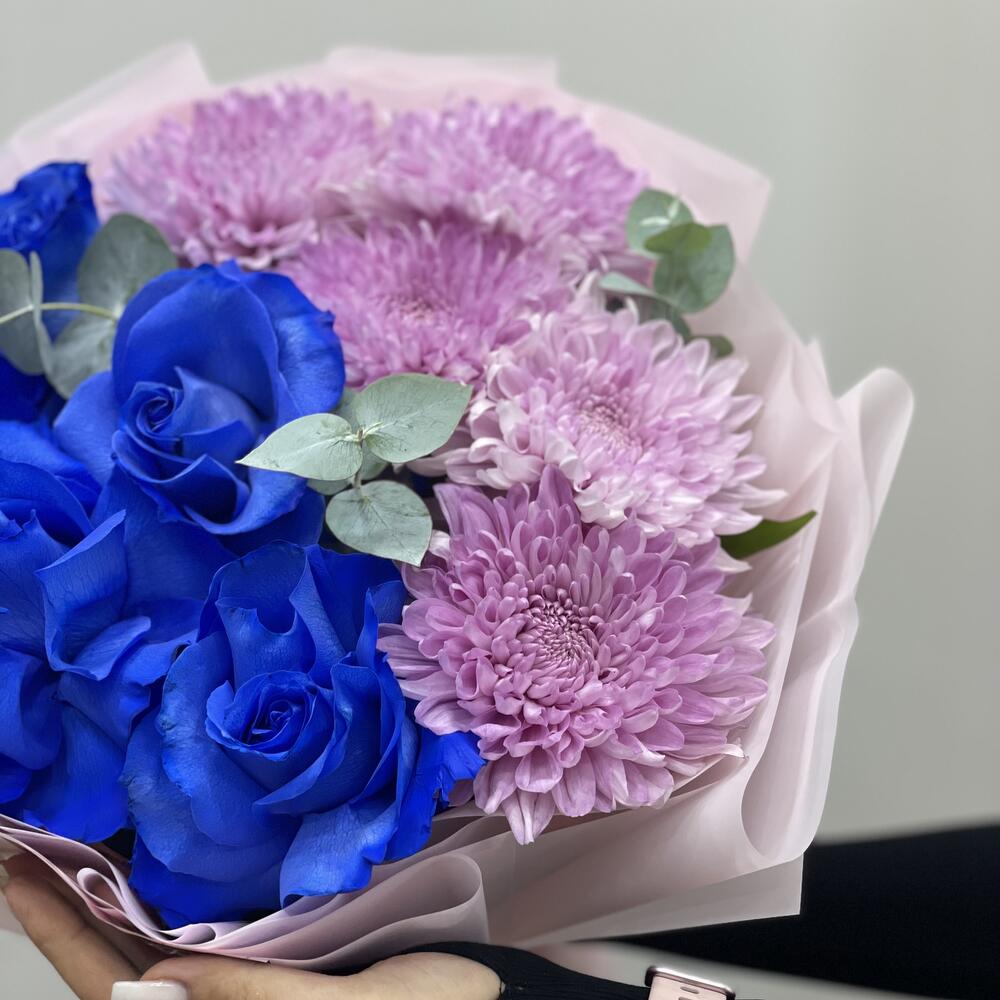 Blue   Purple