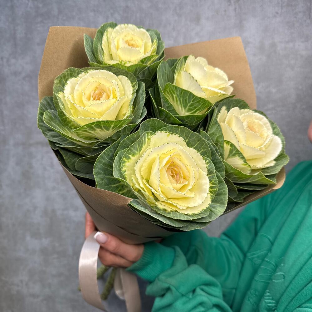 Букет 💐Брассика капуста