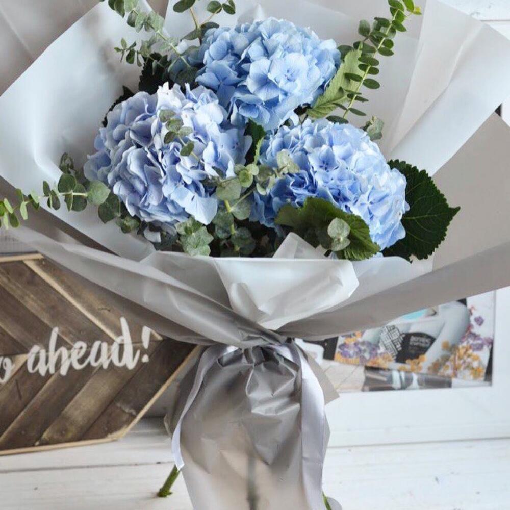 Blue Hydrangeas