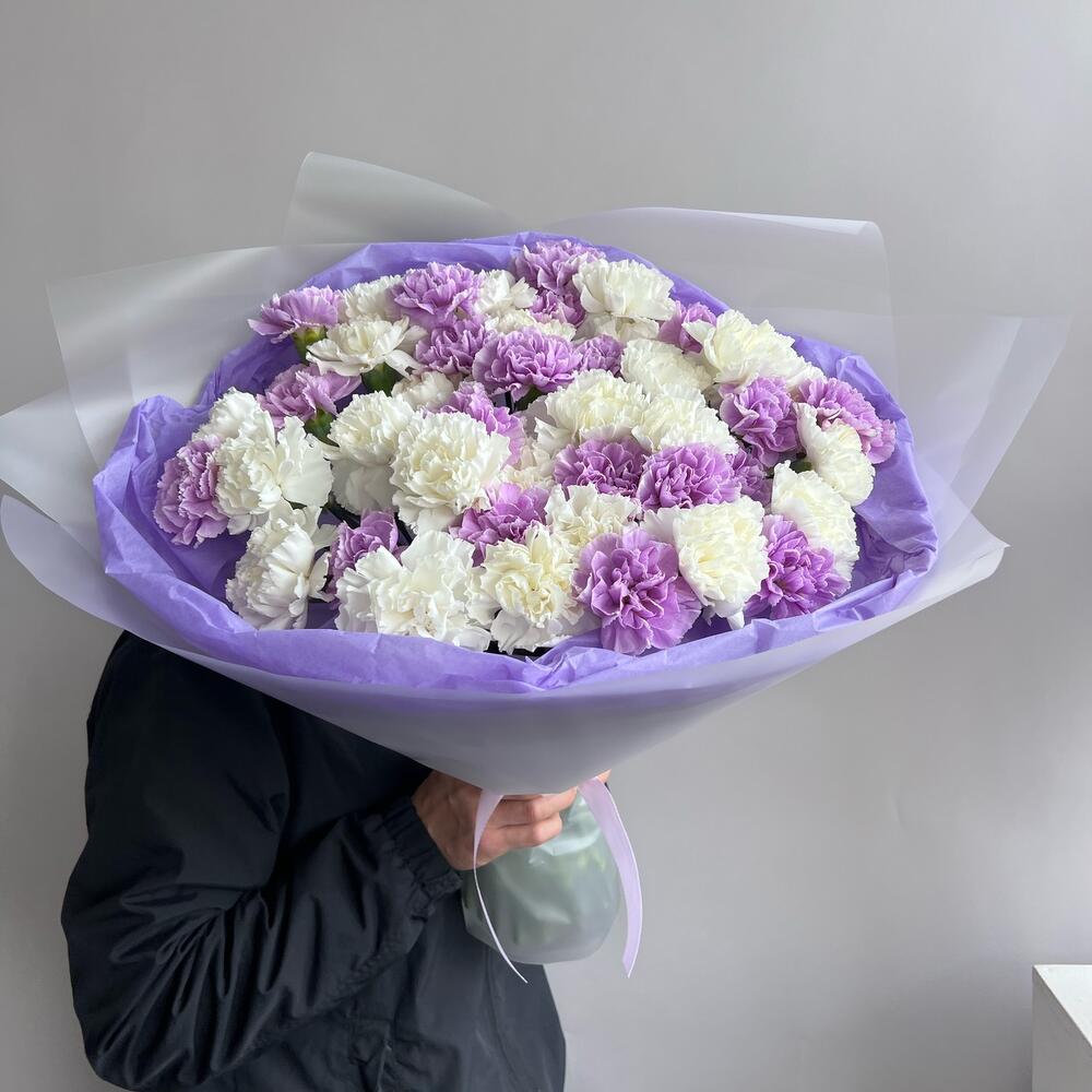 Dianthus duo