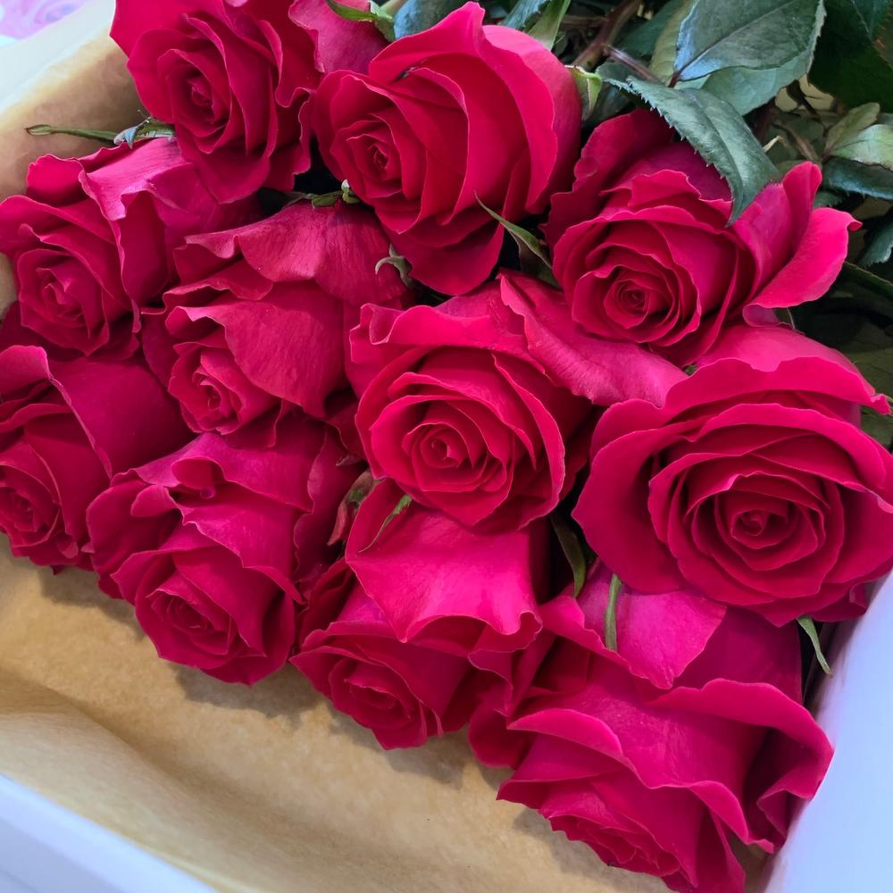 Only roses hot pink