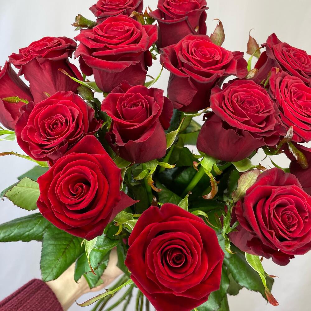 🥇 Красный бархат 13 бордовых роз ♥️