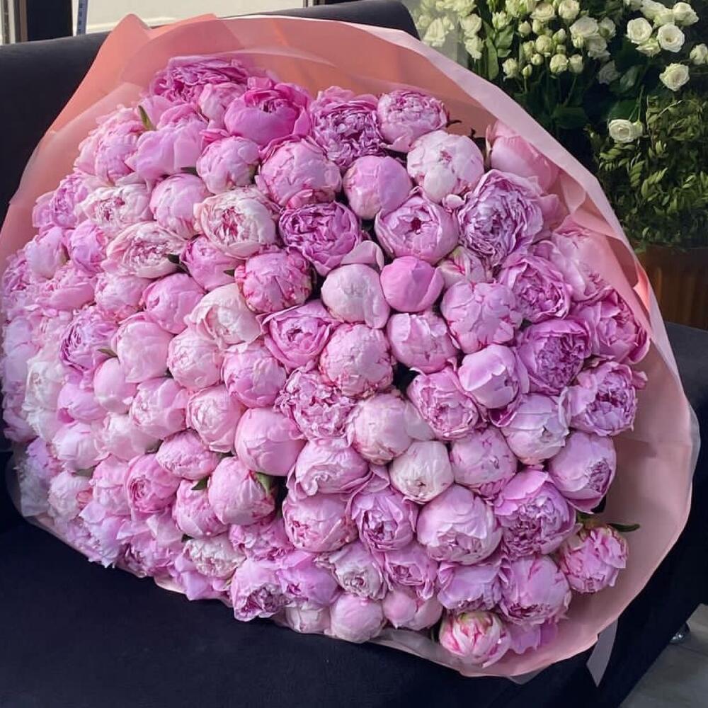 151 штук пионы Сара Бернар 😍