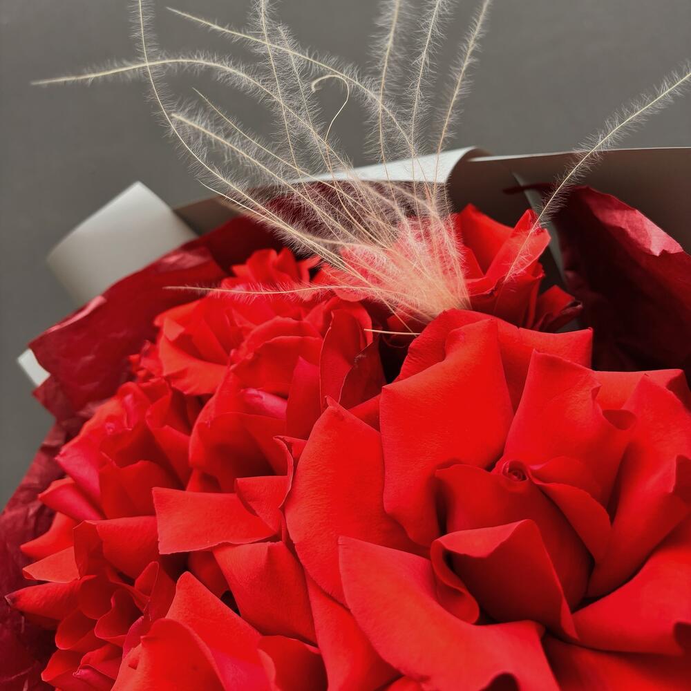 Red roses/Red roses