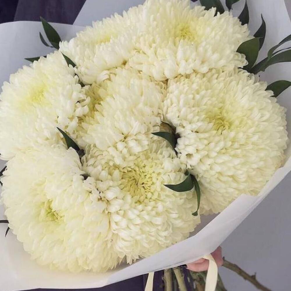 Хризантемы белые 💝 бигуди