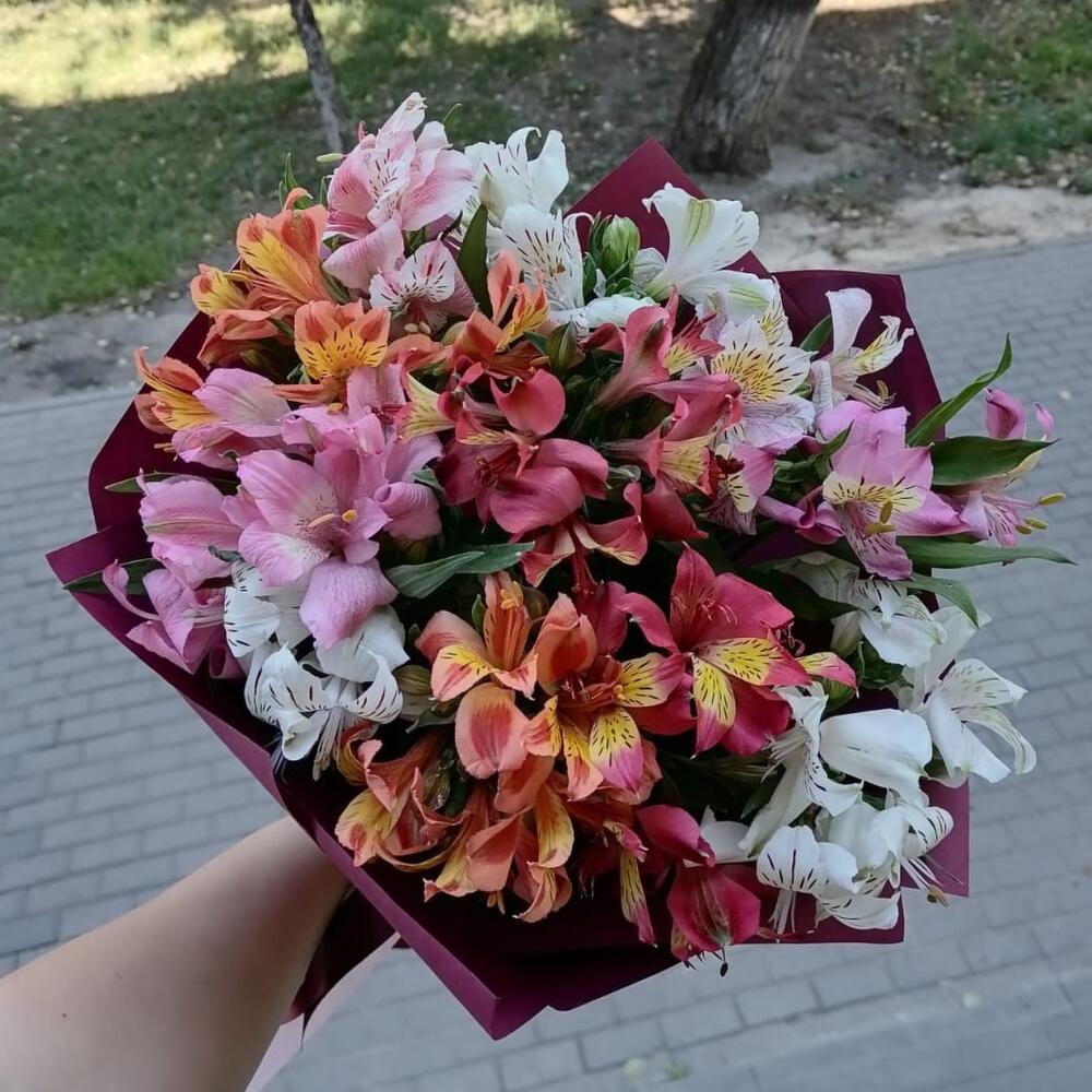 Микс красивой альстромерии