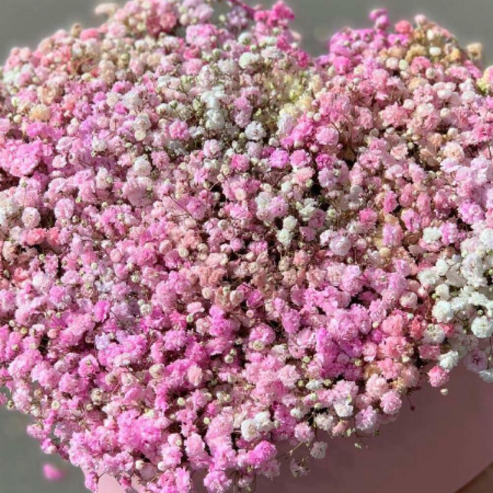 Коробка Сердце из розовых гипсофил, Flowers & Gifts Kaluga, buy at a ...