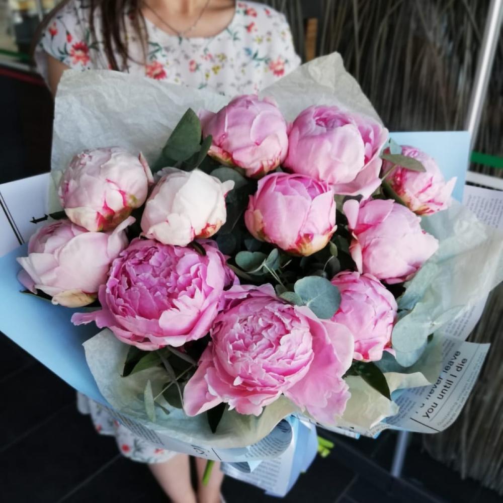 Нежно розовые пионы 💞