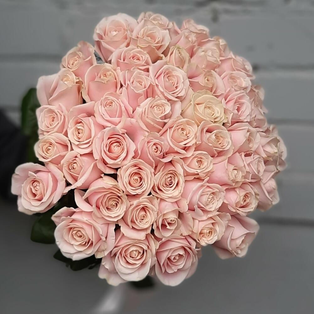 51 роза Аваланж Свит