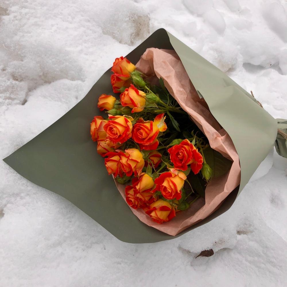 Солнечные блики