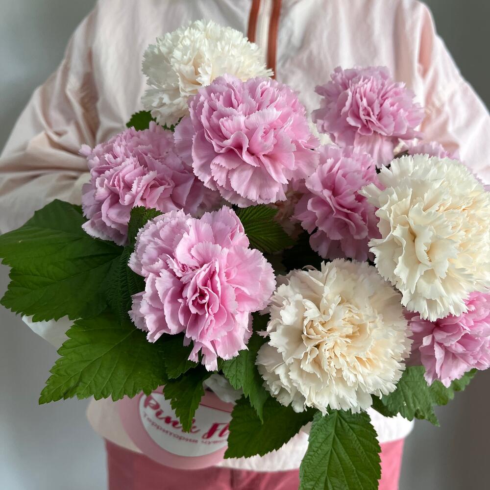 Самые нежные и ароматные диантусы стойкие с малиной 🌸