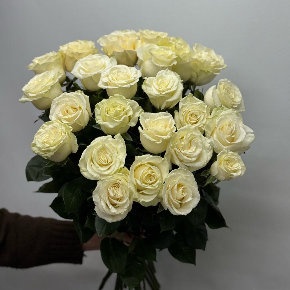 Bouquet of 25 Mondial roses