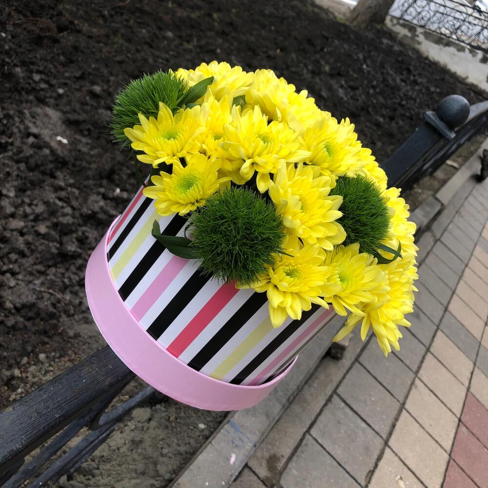 Яркие краски