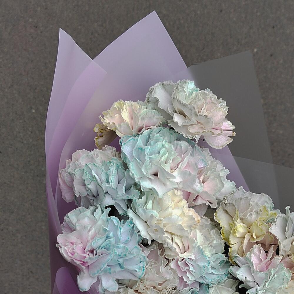 Букет радужных гвоздик 💜