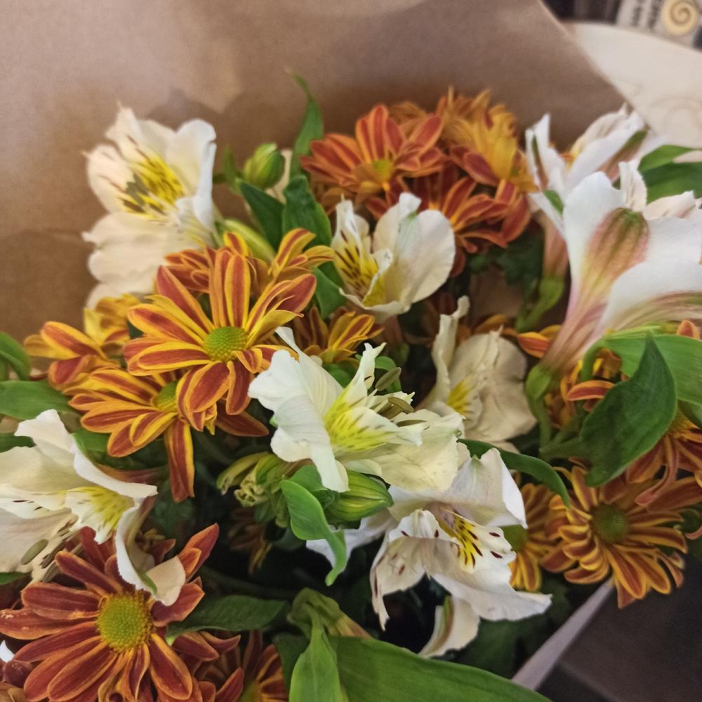 Chrysanthemum and Alstroemeria