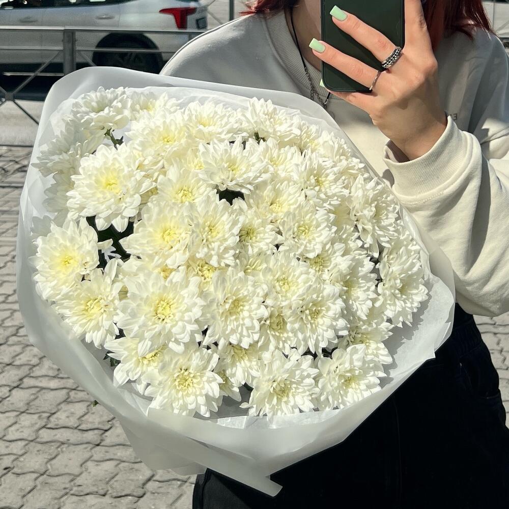 Кустовые хризантемы