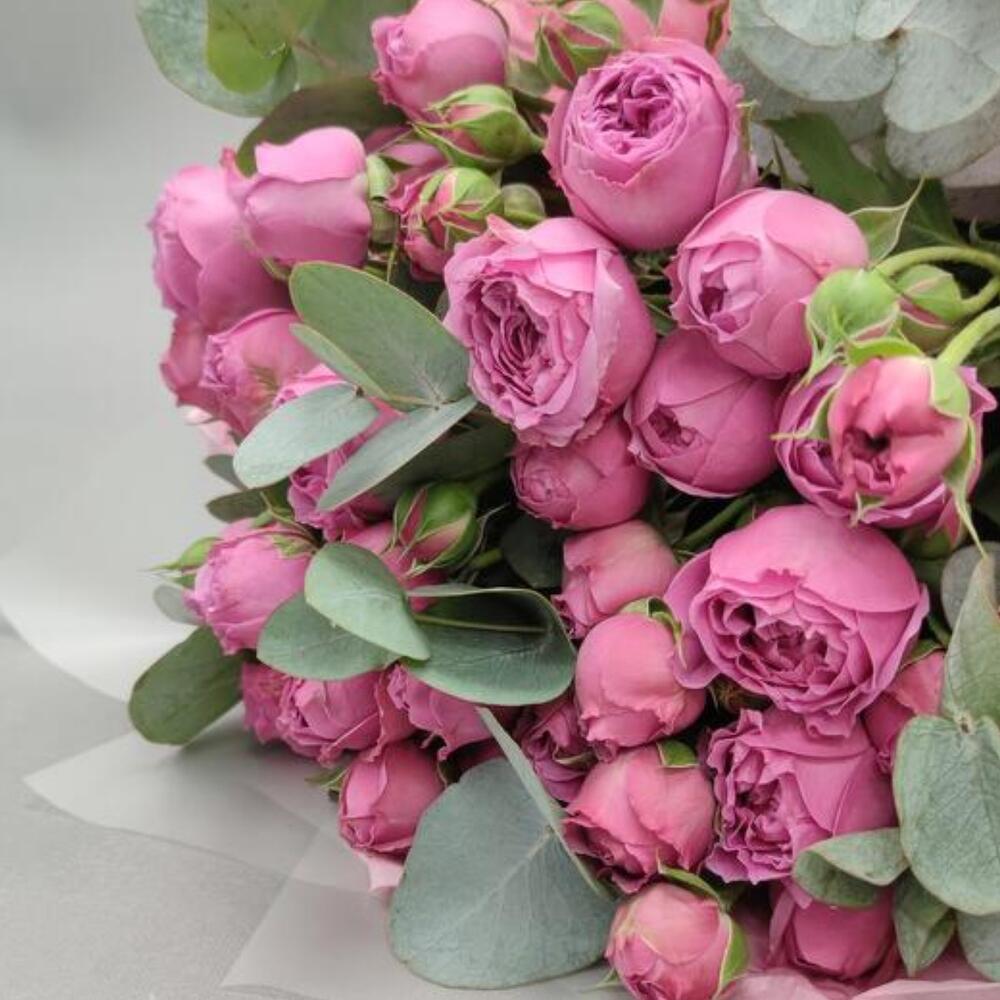 Rosa peonia con eucalipto