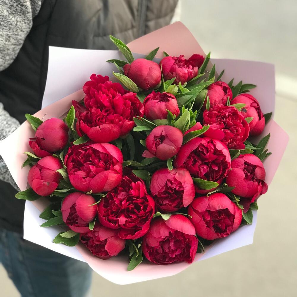 Букет из 19 пионов