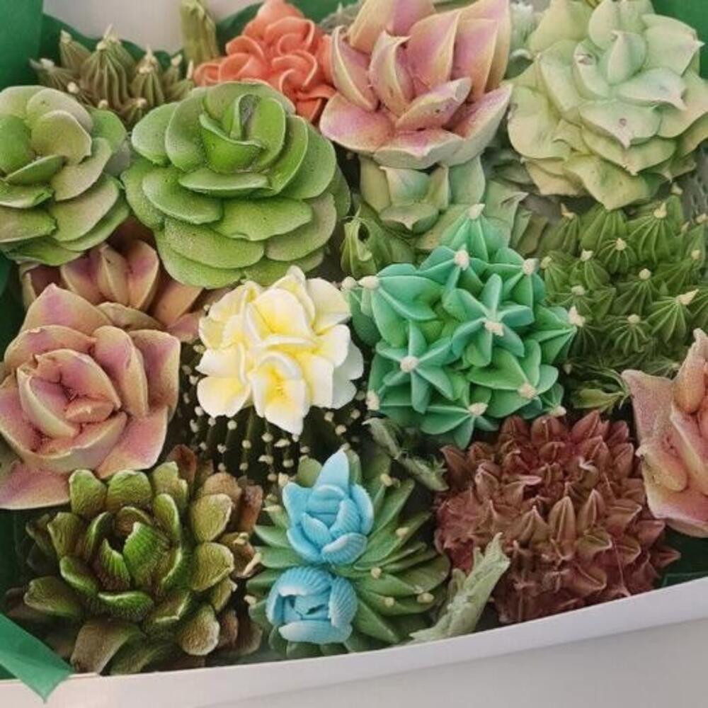Суккуленты из зефира