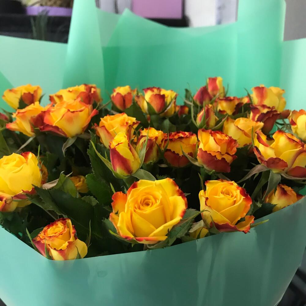Пряное солнце