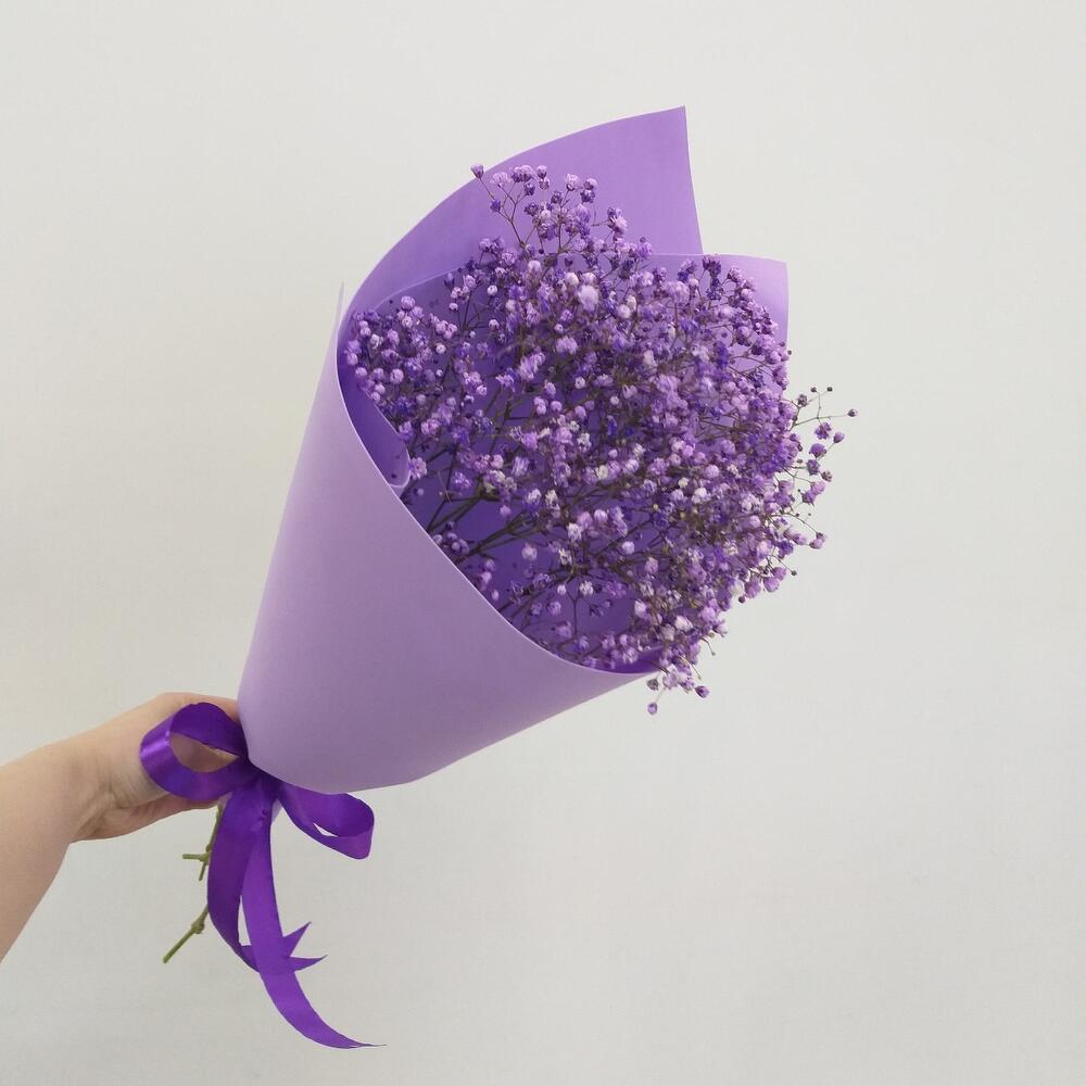 Violetta