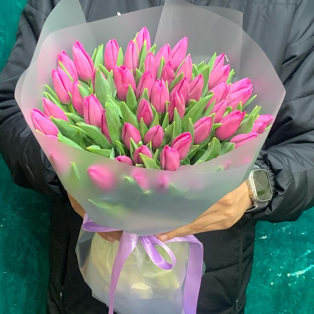 Tulips 🌷