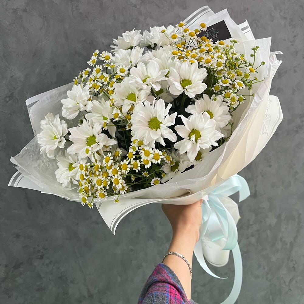 Daisies and gypsophila
