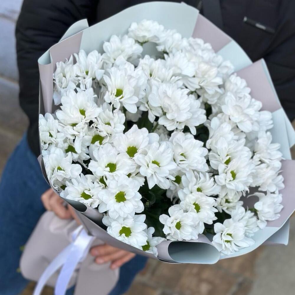 Белая кустовая хризантема