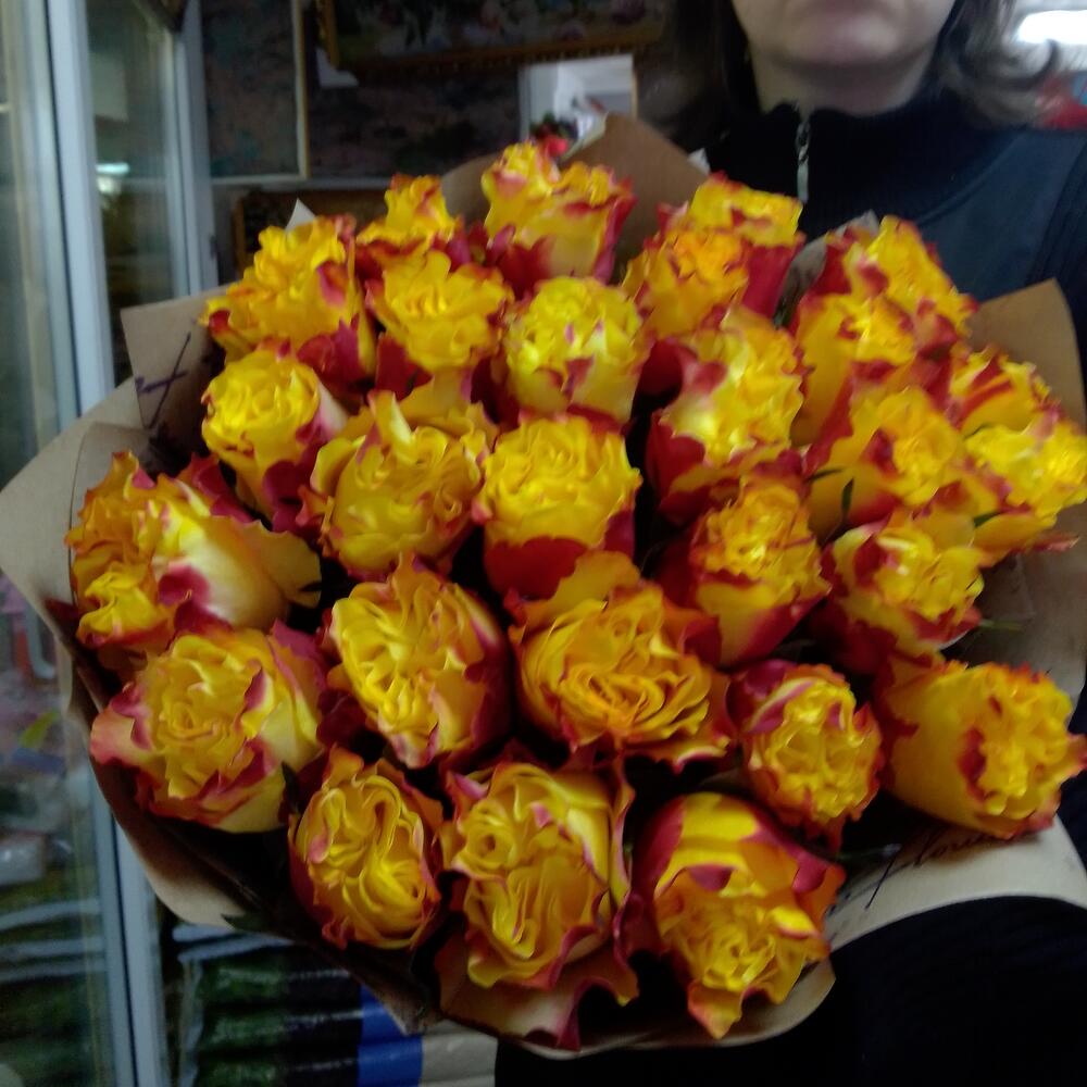 25 ярких роз 60см