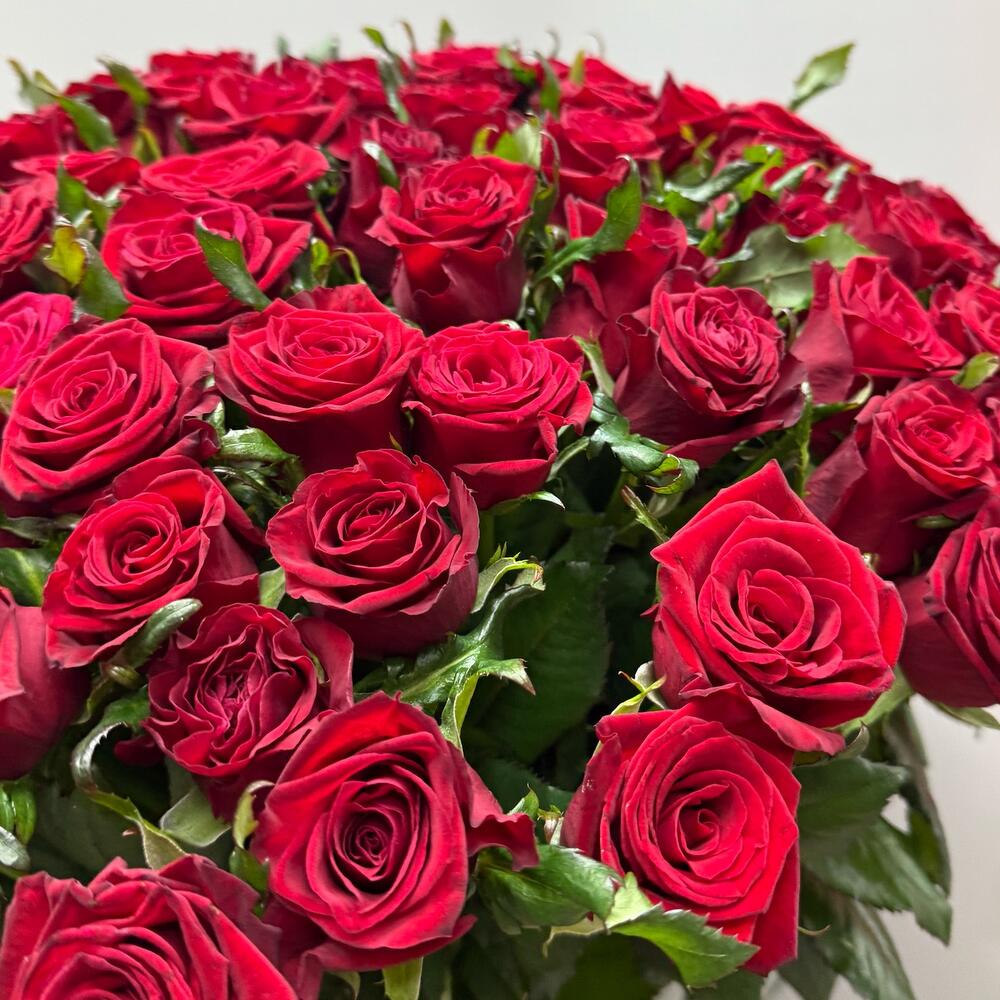 101 бордовая Роза 🌹 шикарный букет 💐