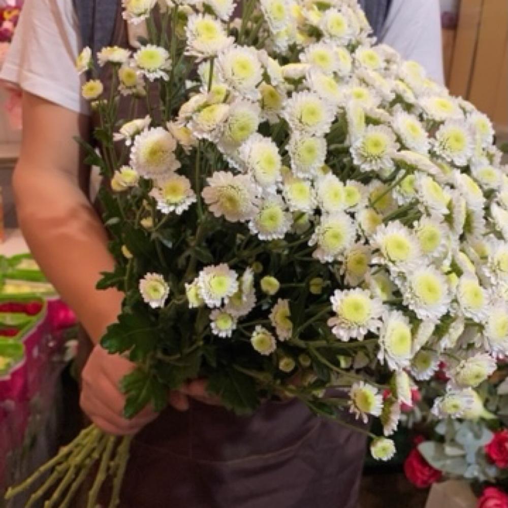 Запах Любви
