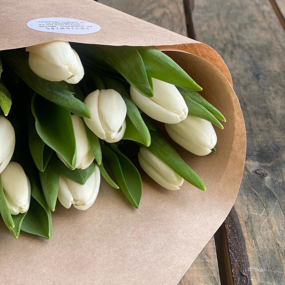 Tulips
