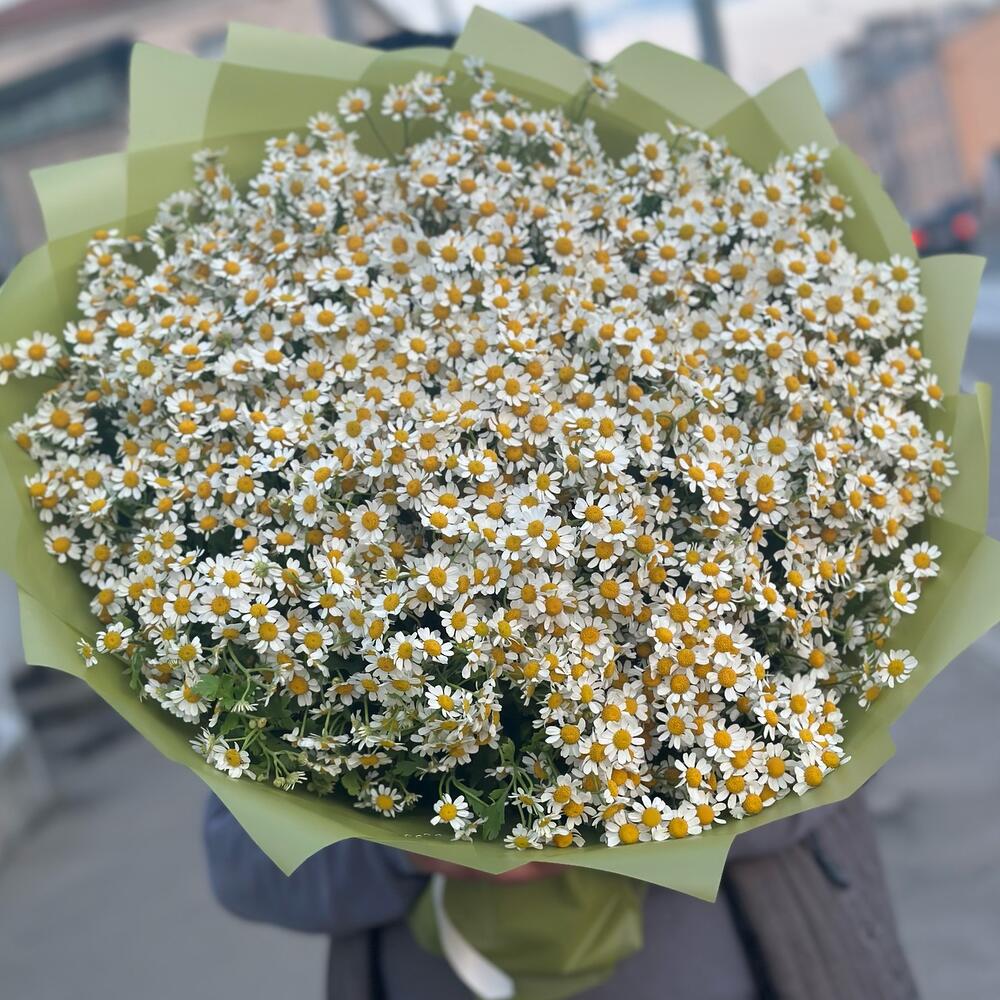 Ромашки