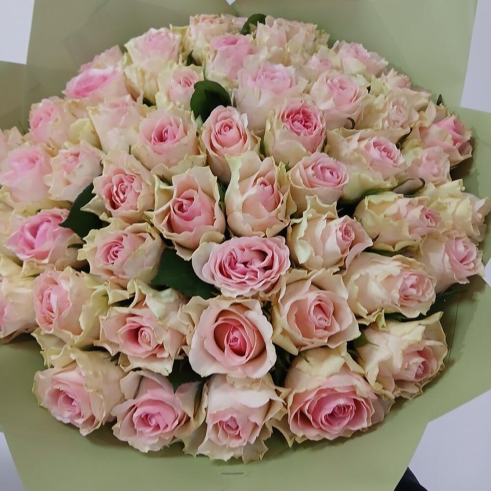 Розовая волна