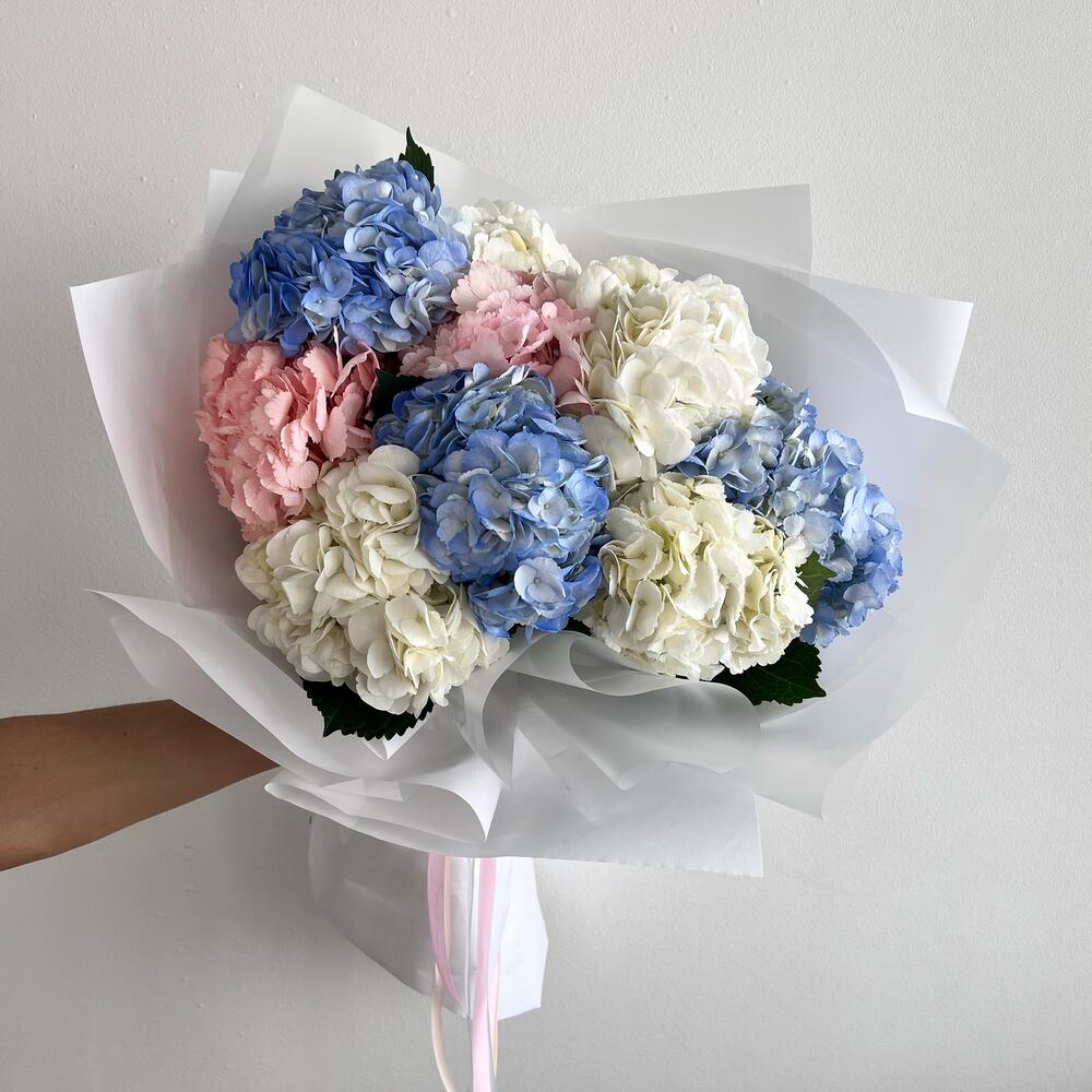 Гортензия  🌸😍