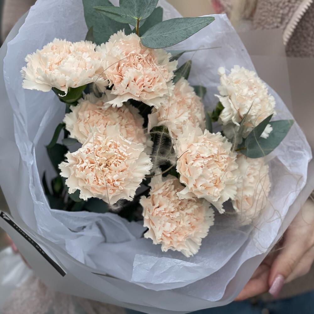 Стойкий диантус